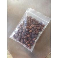 ราคา เมล็ด Adansonia digitata เบาบับ (2783982851)