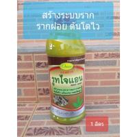 ราคา รูทไจแอน สร้างระบบราก รากฝอย ต้นโตไว (4333590475)