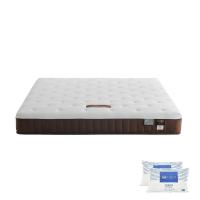 ราคา SB Design Square ที่นอน LOTUS รุ่น MATILDA 100 ขนาด 6ฟุต แถมฟรีหมอนหนุน 2 ใบ (25901077286)