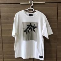 ราคา เสื้อยืดมือสอง PULL&BEAR Size S (รอบอก 41) (14869784799)