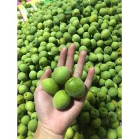 ราคา บ๊วยสด สำหรับดองเหล้า ดองเค็ม ทำไซรัป หรือจิ้มพริกเกลือ ขนาด2กิโลกรัม (13098568740)