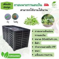 ราคา แพค 10 ใบ ถาดเพาะต้นอ่อนทานตะวัน ถาดเพาะชำ ถาดพลาสติกเพาะต้นไม้ (40457299987)