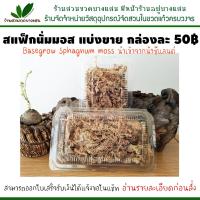 ราคา Sphagnum moss สแฟ็กนั่มมอส แบ่งขายกล่องละ 50฿ สินค้าพร้อมส่ง (915845117)