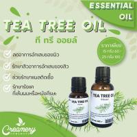 ราคา นํ้ามันหอมระเหยทีทรี | ที ทรี ออยล์ (Tea Tree Oil) Essential Oil นํ้ามันหอมระเหย หอมระเหย (6537872610)