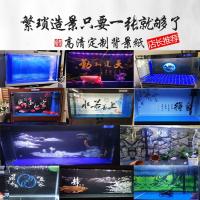 ราคา ขนาดพิพิธภัณฑ์สัตว์น้ําตู้ปลาพื้นหลังสติกเกอร์ถังปลามังกรพื้นหลังภาพวาดกระดาษความละเอียดสูง Image3d 3D ภาพจิตรกรรมฝาผนังพิพิธภัณฑ์สัตว์น้ําพื้นหลังสติกเกอร์วอลล์เปเปอร์พื้นหลังภาพวาด [Aq (51304141373)