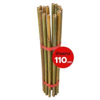 ราคา ไม้ไผ่ลำ ยาว 110cm (ขายมัดละ 10 ด้าม) ใช้ทำด้ามไม้กวาด อะไหล่ด้ามไม้กวาดไม้ไผ่ ลำไม้ไผ่ ไผ่ทำด้ามไม้กวาด bamboo broom (56602410186)