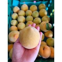 ราคา ลูกพีชสีเหลือง พีชเจด โลละ150บาท(มีของพร้อมส่ง) (19388374828)