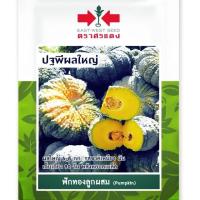 ราคา ฟักทองลูกผสม ปฐพีผลใหญ่ #ศรแดง# (4336884001)