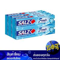 ราคา ยาสีฟัน เฟรช 80 กรัม (6กล่อง) ซอลส์ Salz Fresh Toothpaste (22284137882)