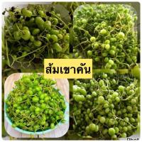 ราคา ส้มเขาคัน หรือ ส้มเถาคัน ให้รสเปรี้ยวได้ดี (250กรัม) นำไปแกงส้มเปรี้ยวอร่อยมาก (28412036641)