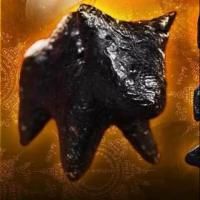 ราคา วัวธนูอุสุภราช (2459388132)