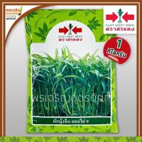 ราคา เมล็ดพันธุ์ผักบุ้ง ผักบุ้งจีน ยอดไผ่ 9 (1 กิโลกรัม) เมล็ดผักบุ้งศรแดง ผักบุ้งใบไผ่ เมล็ดพันธุ์ผักสวนครัว ตราศรแดง (5879790830)