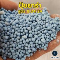 ราคา ปุ๋ยยาร่า สูตร 8-24-24 ปริมาณ 500g / 900g. ยารา​ มีร่า สูตร 16-16-16 ปุ๋ยเร่งดอกเร่งผล ปุ๋ย NPK เน้นบำรุงลำต้น (28520177522)