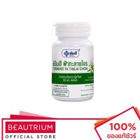 ราคา YANHEE Fa Thalai Chon 250mg สมุนไพรฟ้าทะลายโจร (20488591538)