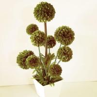 ราคา ดอกไม้และต้นไม้ประดิษฐ์ ต้นตะโกดัด ใหญ่ (6103623595)