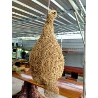 ราคา รังนกกระจิบ รังนกกระจาบ สวยๆๆๆ (5451067564)