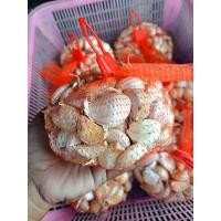 ราคา กระเทียม กระเทียมกลีบใหญ่ กระเทียมคัด ครึ่งกิโล (19493934010)