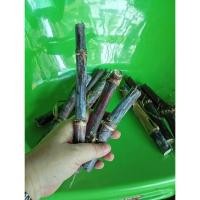 ราคา อ้อยดำ อ้อยแดง ตัดสด ขาย 6 ท่อน 99 บาท อ้อยดำ 1ท่อน จะมี 2-3ข้อตา ยาวประมาณ 20-30 เซนติเมตร อ้อยมงคล (40868809621)