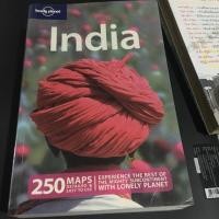 ราคา หนังสือมือสอง Lonely Planet INDIA 13th Edition (3723529707)