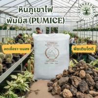 ราคา Greengrower หินภูเขาไฟ Pumice อินโดแท้ เกรดพรีเมี่ยม แบบยกกระสอบ 40 ลิตร (41520561098)