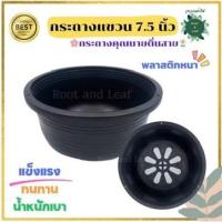 ราคา กระถางแขวน กระถางต้นไม้สำหรับแขวน ขนาด 7.5 นิ้ว ความกว้างปากกระถาง(เบอร์8) กระถางชามเตี้ย สีดำ ทรงเตี้ย (25859631746)