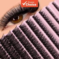 ราคา Falsies ปริมาณ 40-80D ระดับมืออาชีพ – D-Shape Assembled 8To16mm ส่วนแยก, ระบบกาวและซีลไม่มีรอยต่อ, แพ็คเกจความงามคุณภาพร้านเสริมสวยทันที (43678016150)