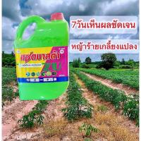 ราคา ยาฆ่าหญ้ากลูโฟซิเนต แอมโมเนียม แซดบาสต้า ออกฤทธิ์แบบเผาไหม้และกึ่งดูดซึม หญ้าตายถึงรากถึงโคน (23184301489)