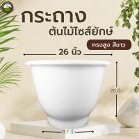 ราคา กระถาง 26 นิ้ว กระถางไซร์ยัก อ่างบัว หนาพิเศษ ทรงสูง (12897369919)