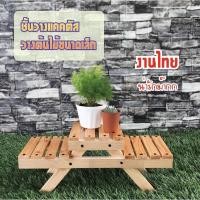 ราคา ชั้นวางต้นไม้ ชั้นวางแคคตัส (12422085771)