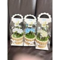 ราคา พร้อมส่ง‼️ดอกไม้ลวดกำมะหยี่ ดอกไม้วันแม่ ดอกมะลิ กระถางดอกมะลิ ดอกไม้ลวดกำมะหยี่วันแม่ กระถางมะลิ วันแม่ ของขวัญวันแม่ (26488395126)