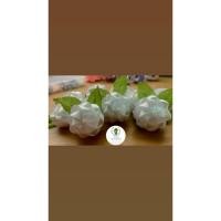 ราคา เหรียญโปรยทานรูปดอกมะลิ (40711874656)