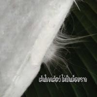 ราคา ❤ ใยแก้วa1 ใยแก้วท่อสูตรบิ๊กไบค์ 33X50x2.5Cm. อายุการใช้งา (23590123034)