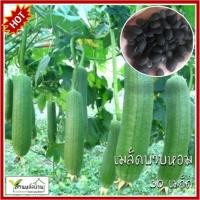 ราคา 30 เมล็ด บวบหอม เมล็ดบวบหอม บวบ เมล็ดบวบ (25739680394)