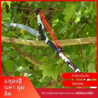 ราคา คีมตัดแต่ง กรรไกรตัดแต่งกิ่งไม้ สองในหนึ่ง กรรไกรตัดแต่งกิ่ง การตัดแต่งสวนผลไม้ในที่สูง กรรไกรตัดแต่งกิ่งแบบยืดหดได้ (43827278900)