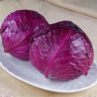 ราคา เมล็ดพันธุ์ กะหล่ำปลี ม่วง บรรจุ 150เมล็ด Purple Red Cabbage Seeds for Planting เมล็ดพันธุ์แท้ ง่าย ๆ (41426450759)