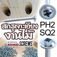 ราคา สกรูจิ๊กเจาะเอียง PH2 งานไม้โดยเฉพาะ เกลียวปล่อย ติดแหวน 25/32/38/50/63mm Pocket hole screws ทุกความยาว (5445023730)