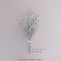 ราคา Caspia : ช่อแคสเปียแห้ง (111656848)