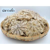 ราคา ปลากะเบนวงเล็ก (วงจิ๋ว) เกรด A (41852569311)