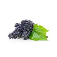 ราคา หัวน้ำหอมกลิ่นองุ่น 002516 วัตถุดิบเครื่องสำอางค์ (860225727)