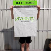 ราคา ซองไปรษณีย์พลาสติก ขนาด 60x80Cm กันน้ำ ผิวมัน สีขาว จัดส่งไวจากกรุงเทพ Greeneryproducts (27677268598)