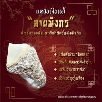 ราคา แหวนเงินแท้92.5 ลายมังกร หัวกระเบนยาว2 ซม รับประกันของแท้แน่นอน (25389965345)