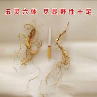 ราคา โสม 22 ปีแท้ โสมภูเขาขาว โสมป่า เมล็ดโสม Wilderness โสมแห้งธรรมชาติ Linxia Ginse#0702 (44156965600)