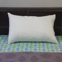 ราคา หมอนหนุนใยสังเคราะห์ 800 g เกรดพรีเมี่ยม ขนาดมาตรฐาน 19"x29" (51102777927)