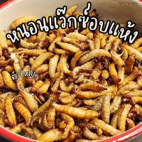 ราคา หนอนแว๊กซ์อบแห้ง1แถม1 สำหรับกระรอก ชูการ์ นก กิ้งก่า หนู ปลา และสัตว์เลี้ยงหลากหลายชนิด (27023078375)