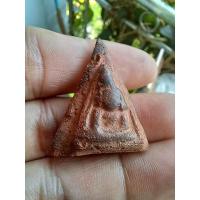 ราคา พระนางพญาสุดสวาสดิ์กรุเก่า อายุมากกว่า500ปี ของแท้พบเจอน้อยมาก พิมพ์นี้หายาก ไม่ตัดขอบ สวยเดิม รับประกันแท้ไห้ครับ sp1 (44400118799)