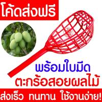 ราคา *ค่าส่งถูก* ตะกร้อสอยผลไม้ พร้อมใบมีด ตะกร้อสอยมะม่วง ตะกร้อ ตะกร้อสอยมะนาว ตะกร้อเก็บผลไม้ เก็บผลไม้ สอยผลไม้ (9591695726)