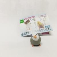 ราคา กาชาปองนก (213633877)