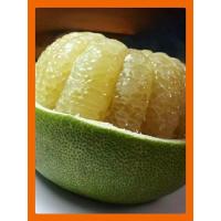 ราคา ส้มโอขาวพันธุ์สายน้ำผึ้ง (กิ่งตอน) (7747063042)