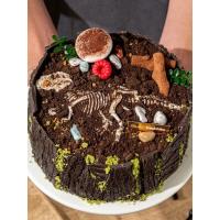 ราคา Creative โบราณคดีฟอสซิลไดโนเสาร์ตกแต่งเค้กไดโนเสาร์ Tyrannosaurus Rex Skeleton แม่พิมพ์ซิลิโคนอุปกรณ์เบเกอรี่ EN9V (58002212592)