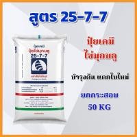 ราคา (ยกกระสอบ 50 KG) ปุ๋ยเคมี สูตร 25-7-7 ไข่มุกบลู บำรุงต้น แตกใบดี ตราเรือใบไข่มุก (46201198155)